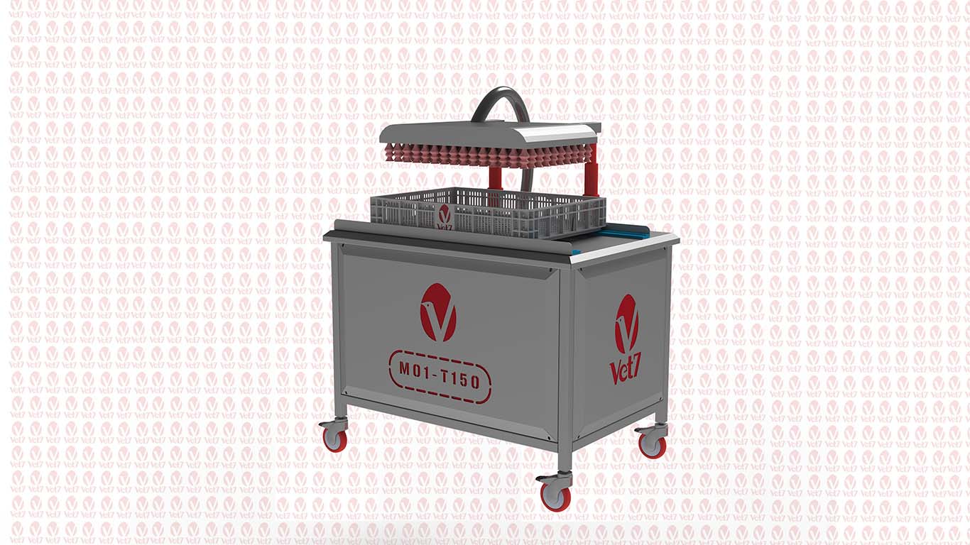 Système de transfert d’œufs automatique/ M01-T150