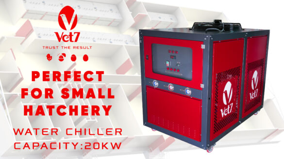 Water Chiller vet7 incubator