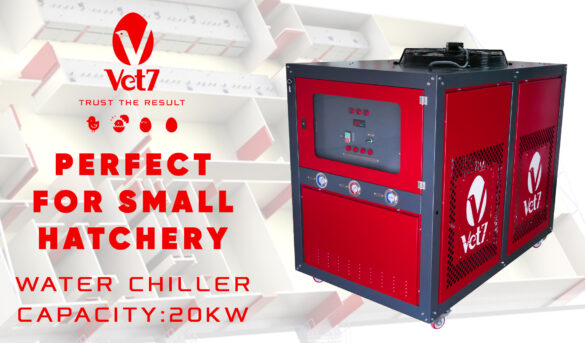 Water Chiller vet7 incubator