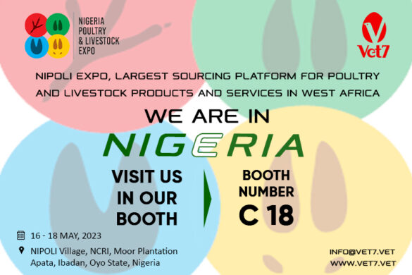NIPOLI Nigeria 2023
